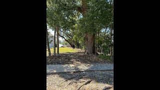 Hector Avenue Metairie LA 70005  Lots And Land for sale [upl. by Randell81]