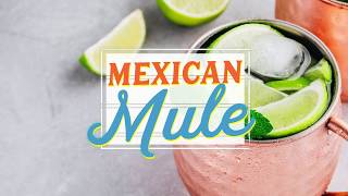 Mexican Mule  A Southern Recipe Small Batch Cocktail [upl. by Hagep]