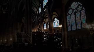 Cathédrale NotreDame de Strasbourg 🇨🇵 Strasbourg France strasbourg [upl. by Iloj]