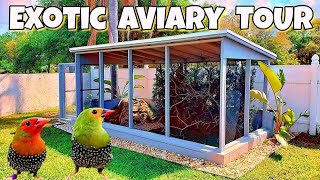 Bird Aviary [upl. by Gimble706]