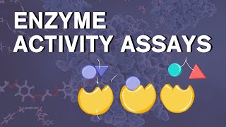 enzyme activity assays [upl. by Thibaut840]