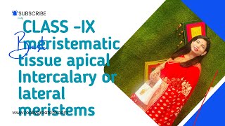 Apical Intercalary and lateral meristem [upl. by Virg]