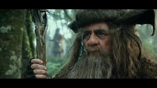 Radagast Habla sobre El Nigromante en Dol Guldur  El Hobbit Un Viaje Inesperado Latino [upl. by Jo]