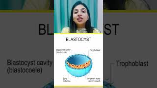 Whats blastocyst transfer in IVF drshalinilohan ivfspecialist blastocysttransfer ivfsuccess [upl. by Bobina]