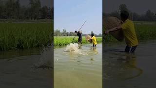 Two boys in pond water for fishing [upl. by Phares]