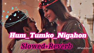 HumTumkoNigahon mein  slowedReverb Salman Khan Hind songs  lofi song [upl. by Atteyram]