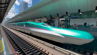 Riding the Japans Fastest Bullet Train l HAYABUSA First Class Seat 🚄 [upl. by Stempien]