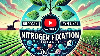 Nitrogen fixation nitrogen fixation ke factnitrogenfixation [upl. by Dawkins]