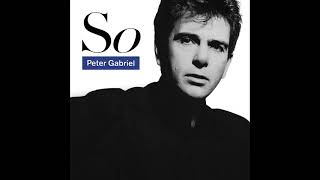 PETER GABRIEL  RED RAIN  LP [upl. by Dranrev591]