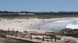 Surfing Asilomar State Beach [upl. by Lladnik]