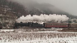 V19  Vapore in Valsugana  16 dicembre 20121  25p YT [upl. by Erfert806]