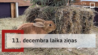 11 decembra laika ziņas [upl. by Ainival]