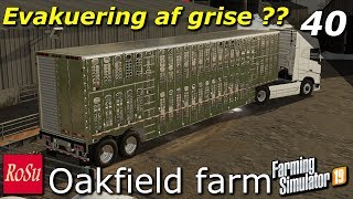 Evakuering af grise   Seasons  Oakfield Farm 19  Episode 40 [upl. by Yenolem]