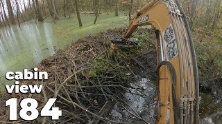 A Large Dam In The Middle Of The Forest  Beaver Dam Removal With Excavator No184  Cabin View [upl. by Audri785]