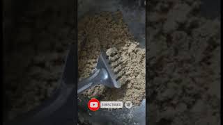 Panjiri Recipe । Dhaniya Panjiri Recipe shorts panjirirecipe festivalspecialrecipe [upl. by Schulze]