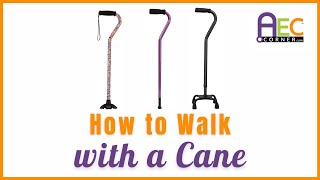 Discover the Secrets of Cane Walking [upl. by Fannie]