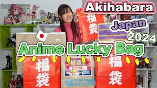 2024 Anime Lucky Bags Unboxing from Akihabara🛍 Tokyo Japan🇯🇵 [upl. by Onia852]