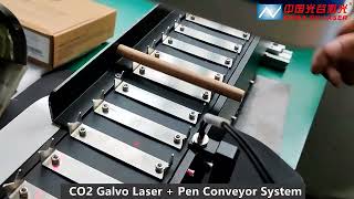 WoodBambooReed Straws Engraving  35W Co2 galvo laser engraving machine with pen conveyor belt [upl. by Aitercul]