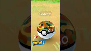 1st time Using SAFARI BALL in Pokemon GO [upl. by Iphigeniah365]