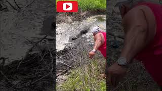 Fat man messing with ALLIGATOR falls inside the water and gets ARM RIPPED OFF tiktok viral shorts [upl. by Stulin]