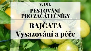 Vysazování zaštipování a péče o rajčata  Pěstování pro začátečníky 5 díl [upl. by Filip498]