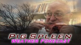 Pig Spleen Forecasting  Southwest TV News [upl. by Netsrek]