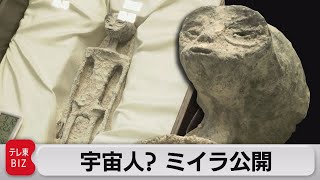 宇宙人？ミイラ公開 メキシコ議会で議論（2023年9月14日） [upl. by Gracia]