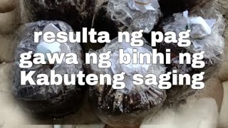 how to make volva mushroom spawnkabuteng saging part 2 [upl. by Giana]