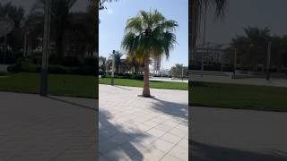 Masdar city park viralshort video abudabi original nature sound [upl. by Brey]