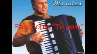 Pasodobles en acordeon Luis Morales [upl. by Christoffer]