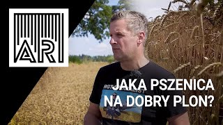 Jaka pszenica na dobry plon  AR 124 [upl. by Hesta]