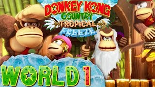 Donkey Kong Country Tropical Freeze  World 1 Coop [upl. by Ahsiat]