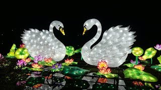 Chinese Lantern Festival 2018 Cary NC [upl. by Aloisia]