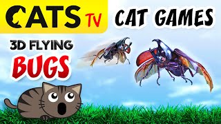 CAT GAMES  Rhinoceros beetles bugs 🙀🪲 60FPS CATS TV [upl. by Nareik]