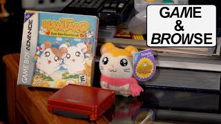 The Cutest GBA Game Ever Hamtaro HamHam Heartbreak  Game amp Browse Recap [upl. by Bashuk]