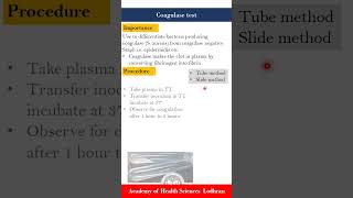 Coagulase test  Microbiology  by Imran Yaseen [upl. by Nohsar]