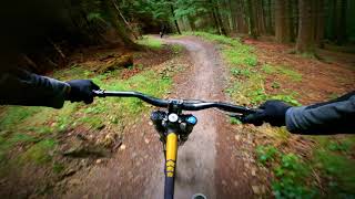 Hamsterley Forest MTB Pikes Teeth [upl. by Iaoh]