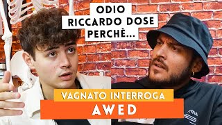 quotDopo LISOLA DEI FAMOSI odio RICCARDO DOSE e AMEDEO PREZIOSIquot Awed  Vagnato interroga [upl. by Enybor]