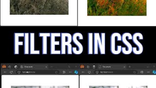 How to use filters in css [upl. by Yatnoj]