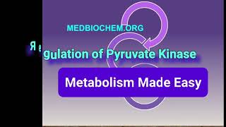 Glycolysis Regulation of Pyruvate Kinase Metabolism Made Easy [upl. by Loise]