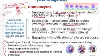 Pathophysiology  Inflammatory Response and Fever  Ch 3 [upl. by Eytak18]