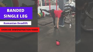 BANDED SINGLE LEG Romanian Deadlift Exercise Demonstration Video [upl. by Grinnell]