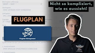 So erstellst Du einen Flugplan für einen VFRFlug ins Ausland  FLUGVORBEREITUNG [upl. by Eeram]