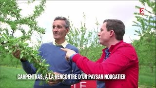 Marchés  Carpentras à la rencontre d’un paysan nougatier  20160430 [upl. by Hanley759]