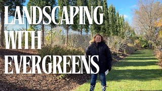 Evergreens at the Proven Winners ColorChoice Shrubs Trial Garden [upl. by Louisette]