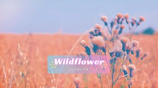 Wildflower 野花  Skylark  中英歌詞 [upl. by Asir788]