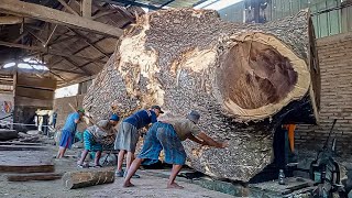 Bobot mati 10 ton kayu trembesi asal tondano sulawesi seharga 12 milyar digergaji I Sawmill [upl. by Yntirb]