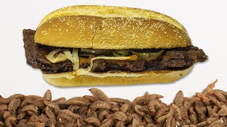 Maggots EATING MCRIB Time Lapse Video in 48 hours  Insects Eating Food Time Lapse [upl. by Cheffetz]