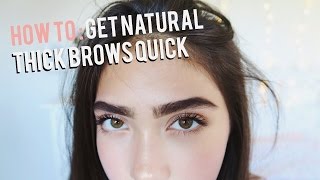 How To Grow Eyebrows FAST Thick amp Natural [upl. by Idnac47]