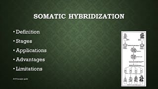 Somatic Hybridization in Plants  Plant tissue culture  AZ concepts guide [upl. by Ziana154]